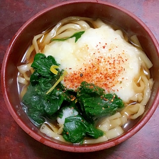 とろろとほうれん草の温かい水沢うどん